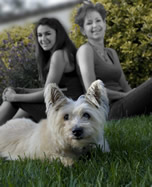 family with dog: after